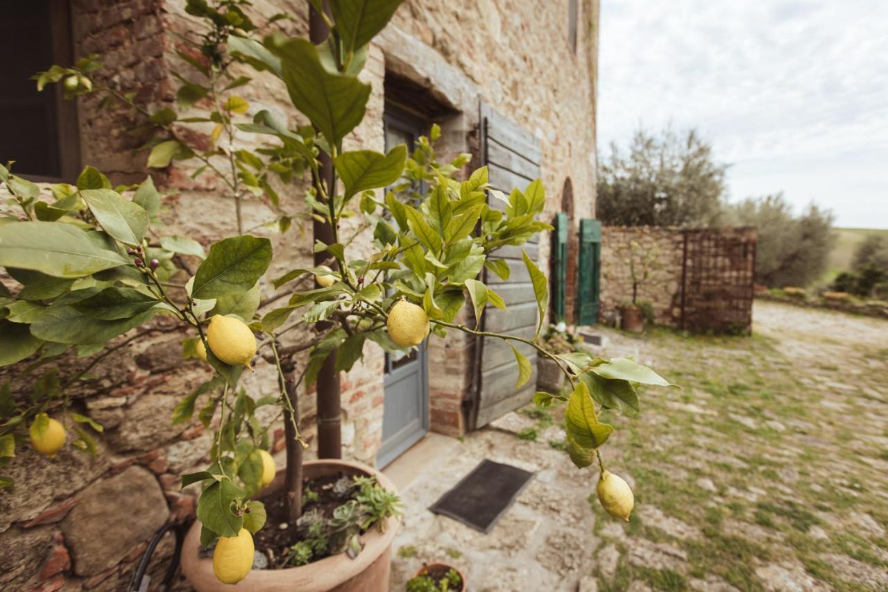 Podere Spedalone Pienza Extérieur photo