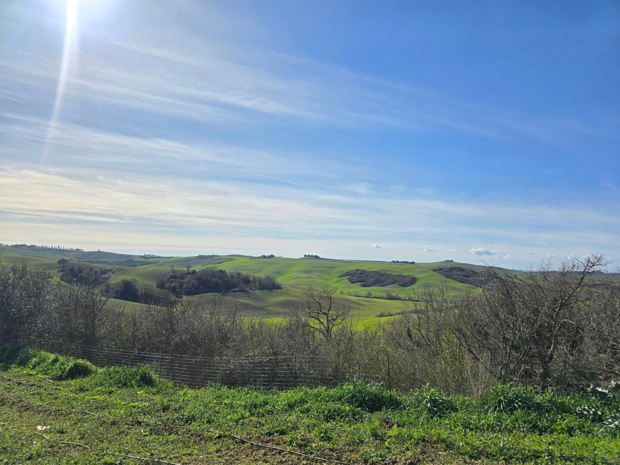 Podere Spedalone Pienza Extérieur photo
